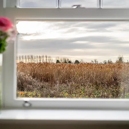 Luxury Barn With Private Wood Fired Hot Tub
