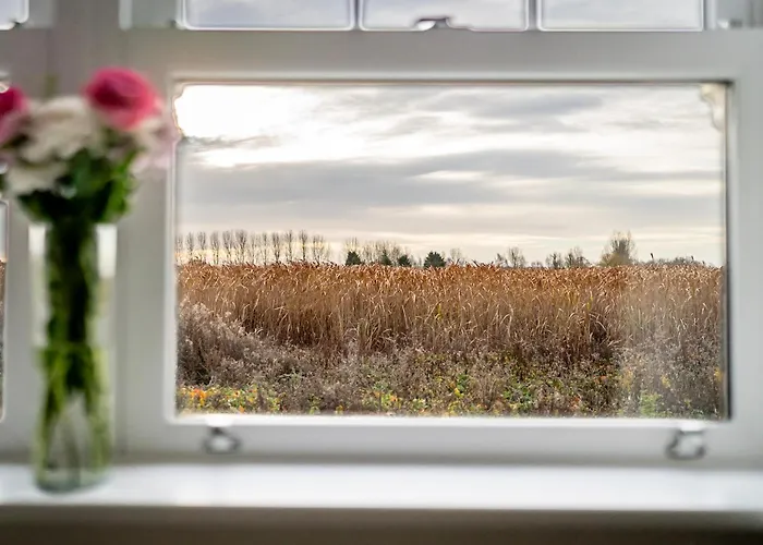 Luxury Barn With Private Wood Fired Hot Tub